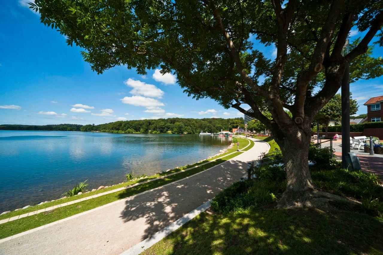 Mal Steinbock _ Ferienwohnung Anni Malente Exteriör bild